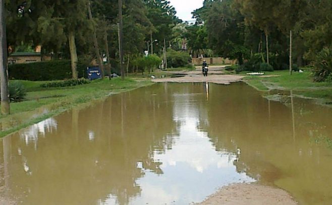 Lagomar. Rosario Castellanos