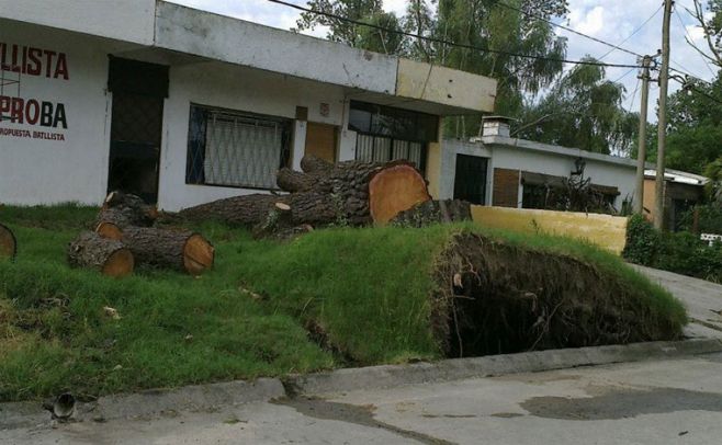 Salinas. Rosario Castellanos