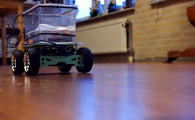 Vea imágenes del pez que aprendió a manejar