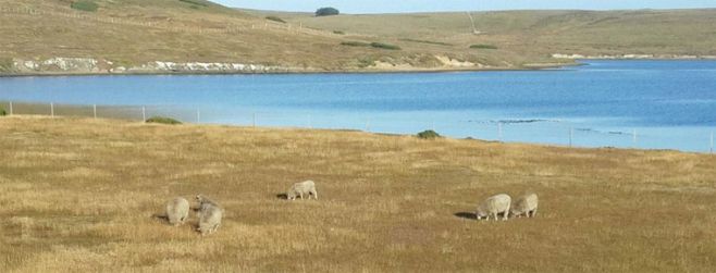 Lafonia, lugar donde lleg Samuel Lafone con gauchos uruguayos a producir ovinos. Foto de Trobo y Rado 