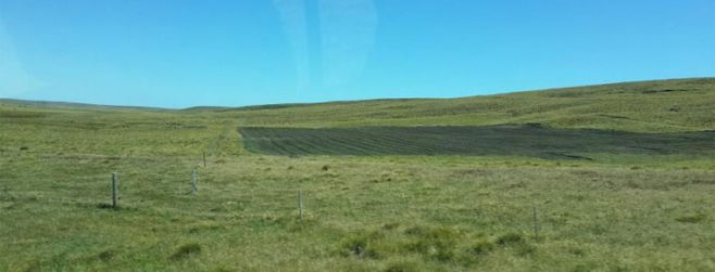 Las Malvinas son "un gran campo de posibilidades de contactos" para que Uruguay "coloque su producción". Foto de Trobo y Rado 