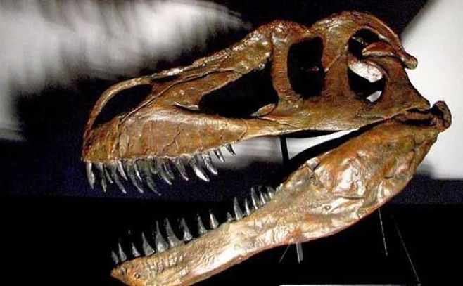 Encuentran restos del mayor predador terrestre de Europa