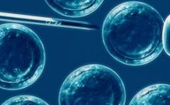 Japón pide investigar último estudio sobre células madre