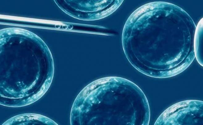 Japón pide investigar último estudio sobre células madre