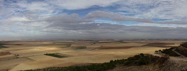 La Tertulia Agropecuaria analiza el desempeño de Uruguay en el mercado global de alimentos