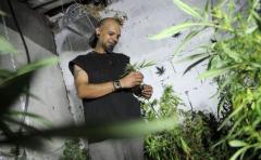 Calzada: "El proceso de regulación del mercado será largo"