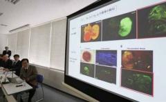 Investigadora nipona acusada de fraude se defiende