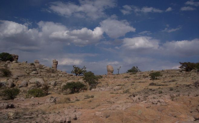 Zonas áridas absorben dióxido de carbono de la atmósfera