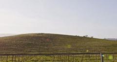 La verdadera historia del fondo de pantalla de Windows XP