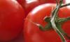 Salsa de tomate: multa a cinco empresas por formar cartel
