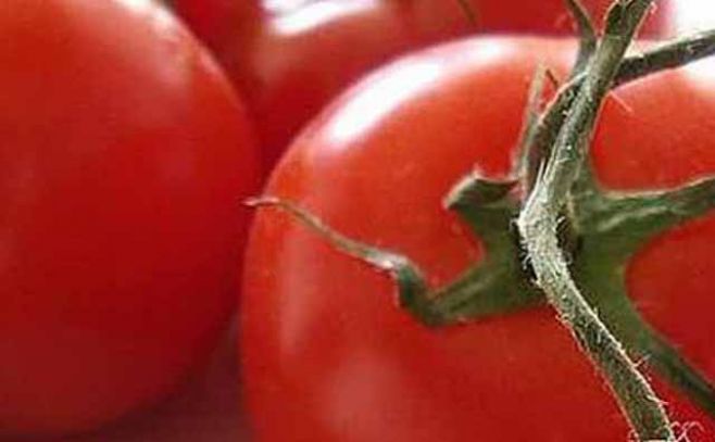 Salsa de tomate: multa a cinco empresas por formar cartel