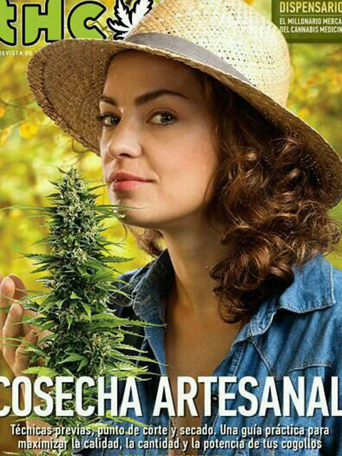 Dolores Fonzi: "Mis hijos me ven fumar marihuana" Dolores Fonzi: "Mis hijos me ven fumar marihuana"
