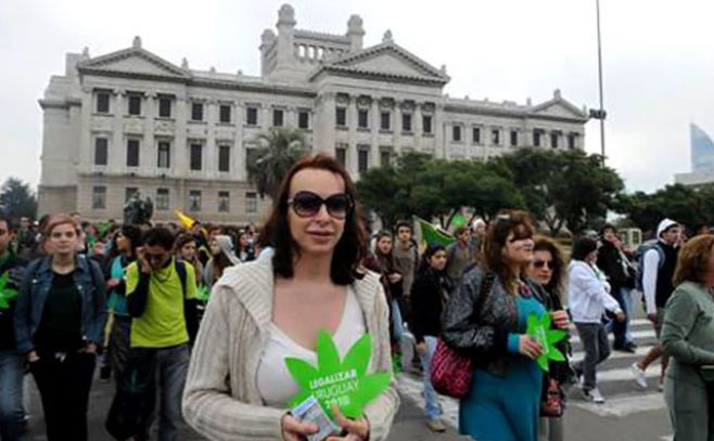Los uruguayos viven con indiferencia su novedosa regulaci�n de la marihuana. 