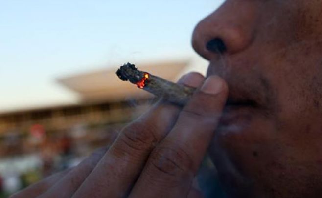 Marihuana: decreto deja a empresas en "situación de inferioridad" Marihuana: decreto deja a empresas en "situación de inferioridad"