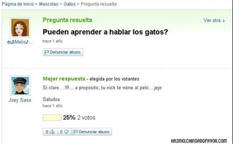 Las 10 preguntas más insólitas de Yahoo! Respuestas