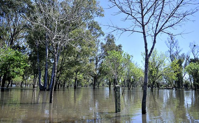 Imagen de archivo. Javier Calvelo /adhocFotos
