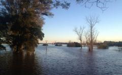 Centenares de familias salteñas abandonaros sus hogares debido a la crecida del río