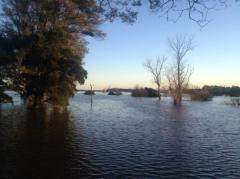 Inundaciones: hay más de 1.500 personas fuera de sus hogares