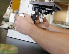 Hallan gen que relaciona cáncer, envejecimiento y células madre