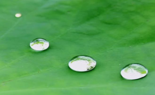 Mire como se comporta el agua sobre material hidrofóbico