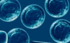 Células madre humanas injertadas a ratas crecen como neuronas