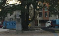 Reacondicionamiento de las plazas Eduardo Acevedo (hijo) y Arq. José Carré