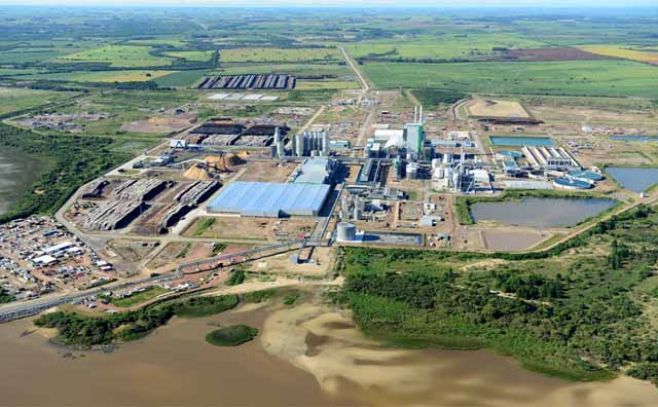 Montes del Plata inaugurará el 8 de setiembre su planta en Uruguay