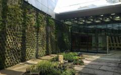 Paisajista español diseñó el jardín del edificio Celebra en Zonamérica