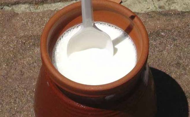 El yogur búlgaro: un elixir de longevidad y milagro dietético