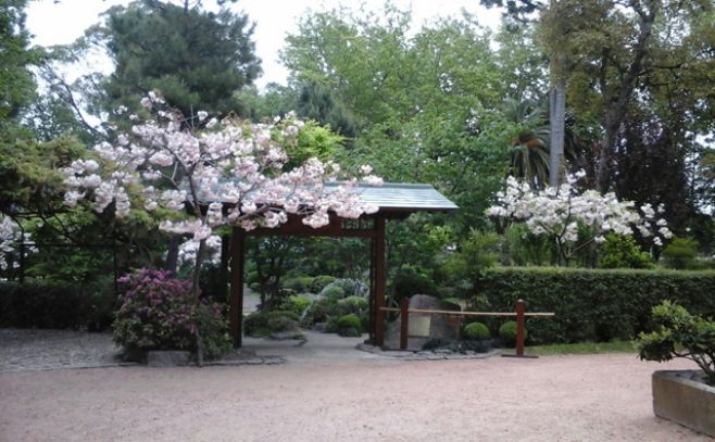 Museo de Bellas Artes Juan Manuel Blanes. Jardn Japons.