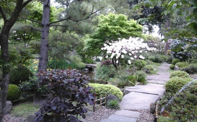 Museo de Bellas Artes Juan Manuel Blanes. Jardn Japons.