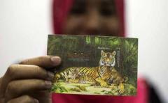 Tigre de Malasia está en peligro crítico de extinción