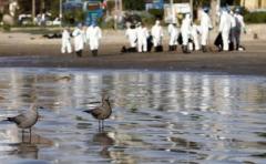 Mares contaminados, prioridad medioambiental en Europa