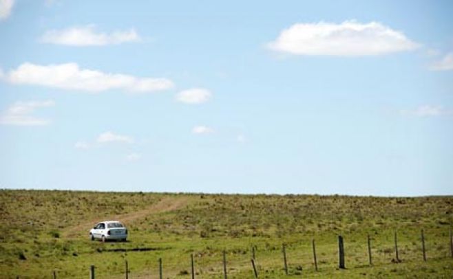 Más de un tercio de campos uruguayos en manos argentinas