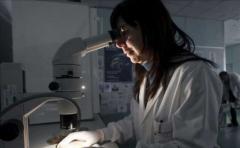 Estudio vincula genes a cometer actos violentos