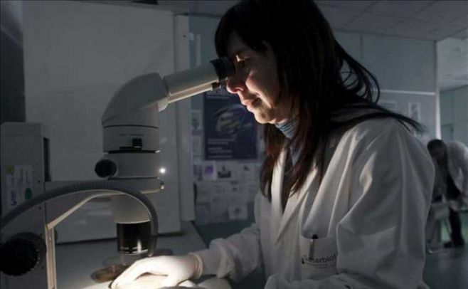 Estudio vincula genes a cometer actos violentos Estudio vincula genes a cometer actos violentos