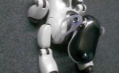El mítico robot canino Aibo se queda sin "veterinarios"