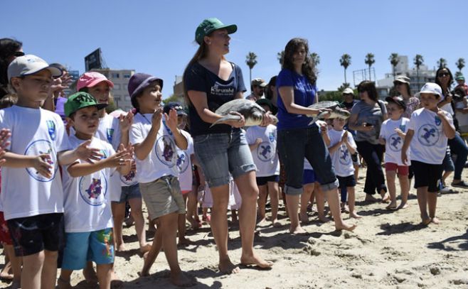 Niños liberaron cinco tortugas en la Playa del Buceo. ad/hoc 