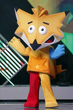 Copa Amrica Chile 2015. EFE/Mario Ruiz