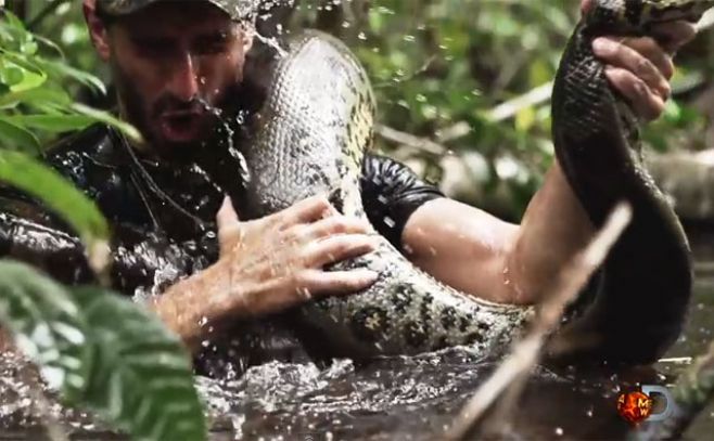 Investigador se hizo comer vivo por una anaconda Investigador se hizo comer vivo por una anaconda