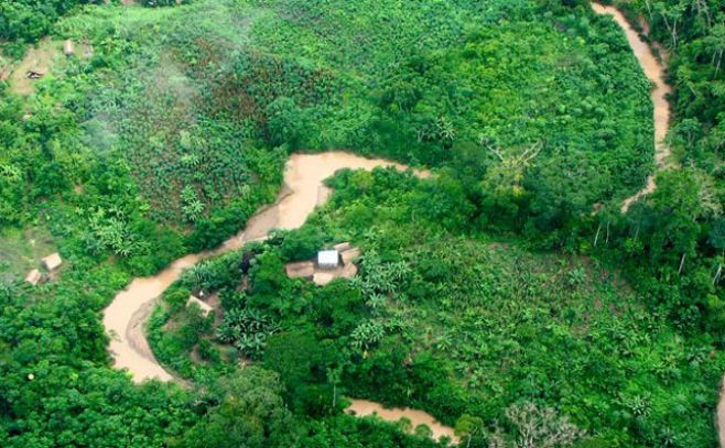 Drones contra contaminadores y deforestadores en selvas