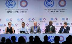 COP20: declaración final se centrará en aportes de países