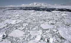 Avión polar para mejorar exploración de Antártida