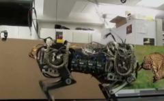 Robots podrán correr como guepardos