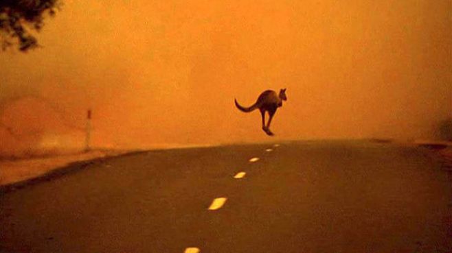 Australia bajo fuego: la peor catástrofe en 30 años