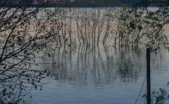 Inundaciones: 103 personas desplazadas en todo el país