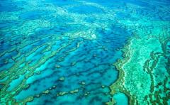 Leve suba del mar impactará en Gran Barrera de Coral