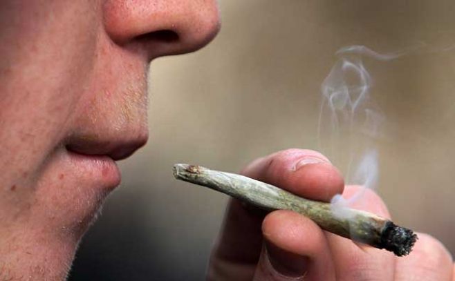 Uruguay tiene 1300 cultivadores domésticos de marihuana Uruguay tiene 1300 cultivadores domésticos de marihuana