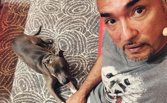 César Millán es demandado porque no "encantó" a un perro César Millán es demandado porque no "encantó" a un perro