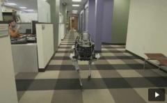 Spot: el perro robot de Google creado para misiones militares